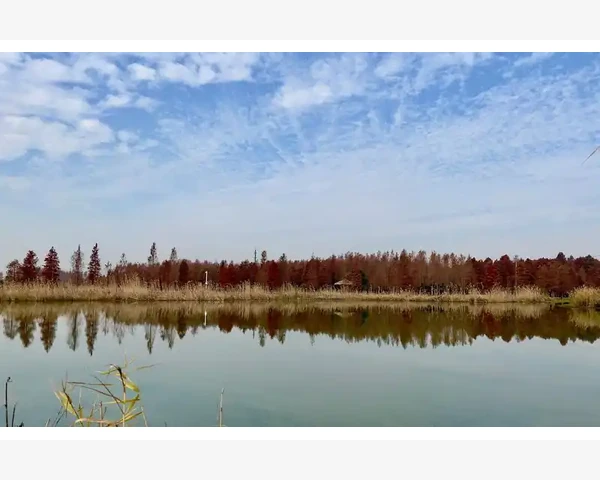 MT4电脑版多账户同时登录切换实操方法_模板管理的进阶技巧