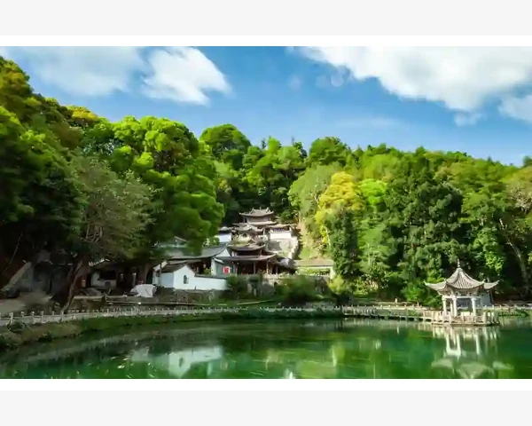 MT4手机交易按钮失灵原因排查与解决
