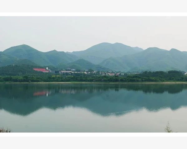 MT4切换服务器连接入口操作全解