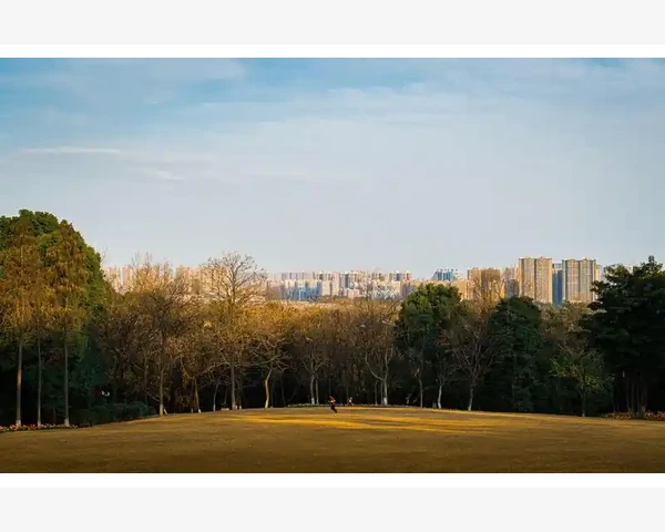 交易回测中长仓与短仓含义及MT4做多做空对应关系