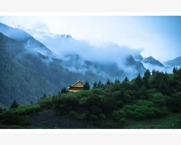 MT4断线后EA智能交易系统运行状态详解_无法查看持仓对交易的实际影响