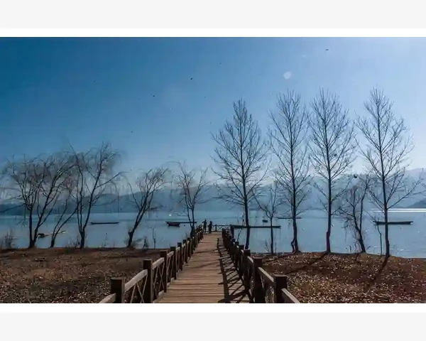 MT4交易密码与只读密码能否同时使用的区别解析